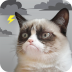 Grumpy Cat Weather v5.3.9