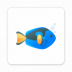 苹果13promax灵动半岛app v1.0