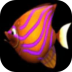 BigFishEatSmallFish大鱼吃小鱼游戏 v1.0