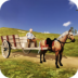 自由骑马模拟器最新版(Horse Cart Carriage Farming Transport Simulator 3D) v2.5.2