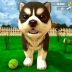 虚拟宠物大作战 v1.2