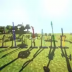 我的世界拔刀剑模组 v1.0