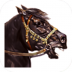 骑马与砍杀战团游戏 v1.072