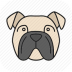 逗猫神器翻译app v1.1