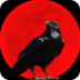 乌鸦之霜游戏 v1.3.00