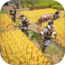 大秦帝国之帝国烽烟游戏 v14.1.0