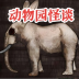 动物园怪谈游戏 v1.01