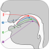 英语国际音标学习app v1.3.13