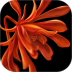 栖家(珠宝商城) v3.2.8