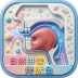 小学英语自然拼读课堂app v1.7.15