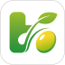 宏豆苗官方版 v26.08.19