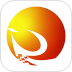 爱洛川官网版 v1.3.3