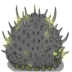 异虫女王游戏 v1.4
