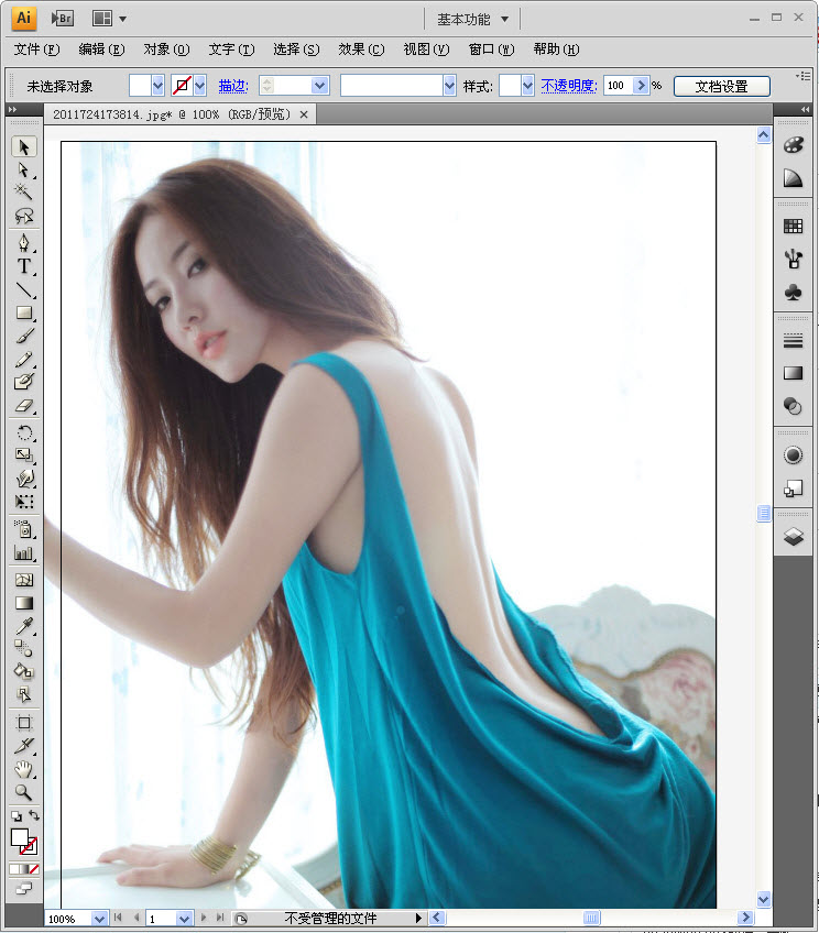 Adobe Illustrator CS4(ai) v14.0 ɫƽ0