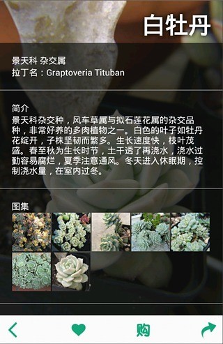 多肉植物app官网版 多肉植物app官网版v7.92截图欣赏