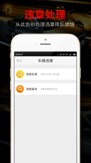 iiappƻ v4.5.4 iPhone 2