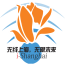 ishanghai͑