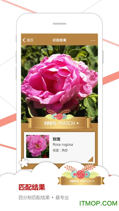 ΢ʶ ios v1.0 iPhone 1