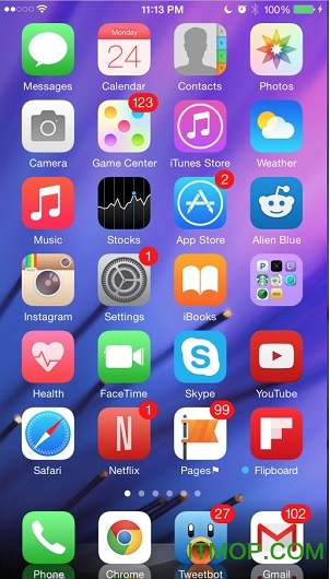 iOS(Winterboard) v0.9.3915 iphone0