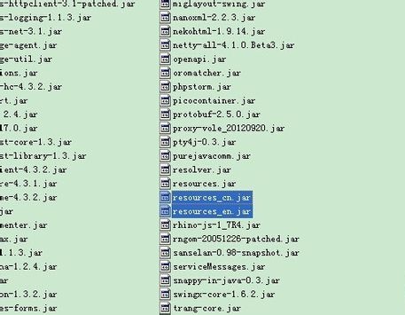 PhpStorm 8 汉化包