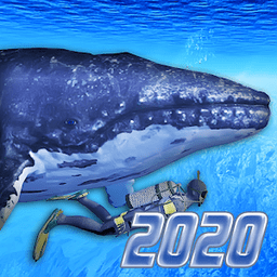 ˮģM2020