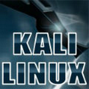 kali linuxϵͳ