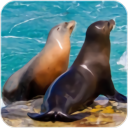 {ģM(The Sea Lion)