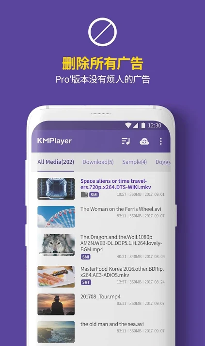 KMPlayer proǿ v2.3.9 ׿2