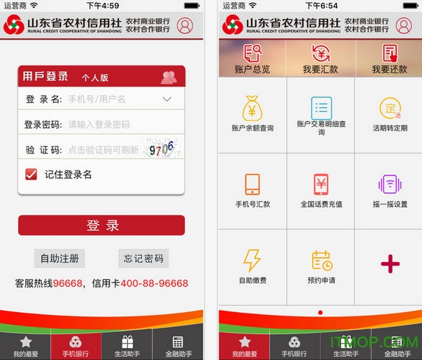 志愿东营app最新版本下载