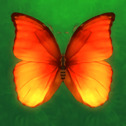 (Pop Butterfly)