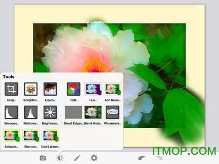 PhotoViva v3.16 ׿2