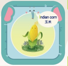 豌豆星球探索卡4