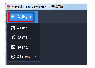 Movavi Video Converter17