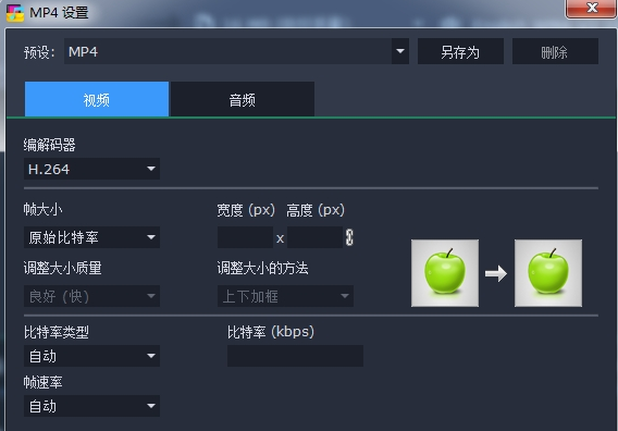Movavi Video Converter17