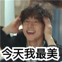 孔刘鬼怪表情包