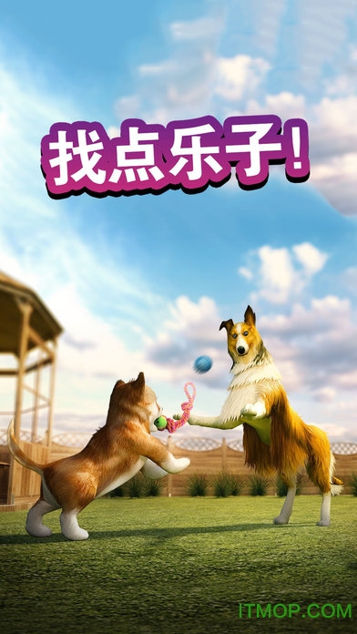 ģ⹷ƽ(Dog Simulator) v2.2.3 ׿޽ʯ1