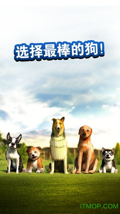 ģ⹷(Dog Simulator) v2.2.3 ٷ׿2