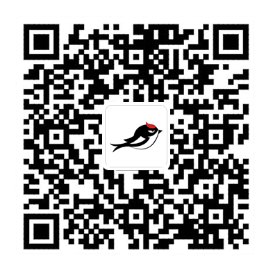 墨子学堂app二维码 墨子学堂app二维码