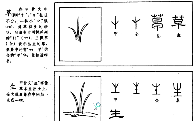 常用汉字演变图