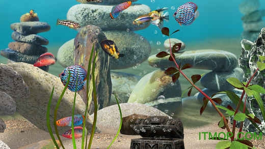 ҵˮ3D(MyLake 3D Aquarium) v1.2.7180 ׿ 0