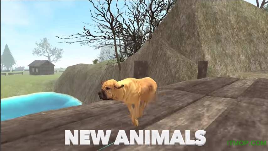 ռģƽ(Ultimate Dog Simulator)