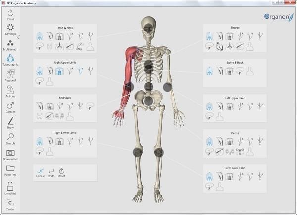3dbody3.0简化版