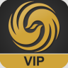 Ƶvip