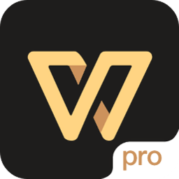 wps pro֙CI(y)