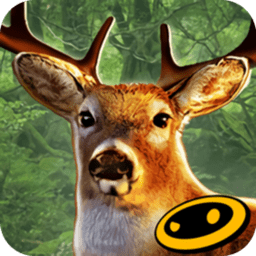 ¹2014ƽ(deer hunterϷ)