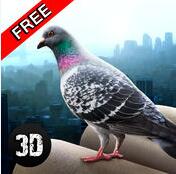 ֮ģ3Dƽ(City Bird Pigeon Simulator 3D)