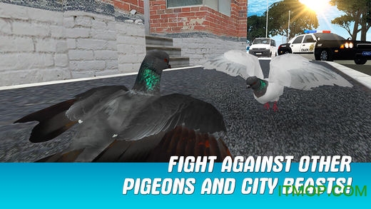 ֮ģ3Dƽ(City Bird Pigeon Simulator 3D) v1.2.0 ׿0