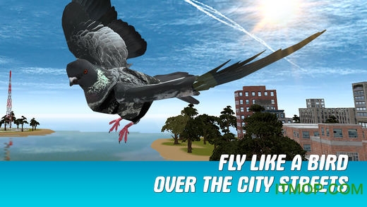 ֮ģ3Dƽ(City Bird Pigeon Simulator 3D) v1.2.0 ׿1