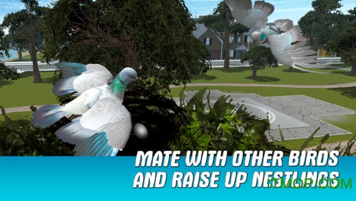 ֮ģ3Dƽ(City Bird Pigeon Simulator 3D) v1.2.0 ׿ 2