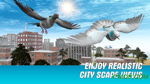 ֮ģ3Dƽ(City Bird Pigeon Simulator 3D) v1.2.0 ׿3